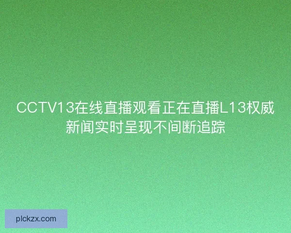 CCTV13在线直播观看正在直播L13权威新闻实时呈现不间断追踪 CCTV13在线直播观看正在直播L13权威新闻实时呈现不间断追踪